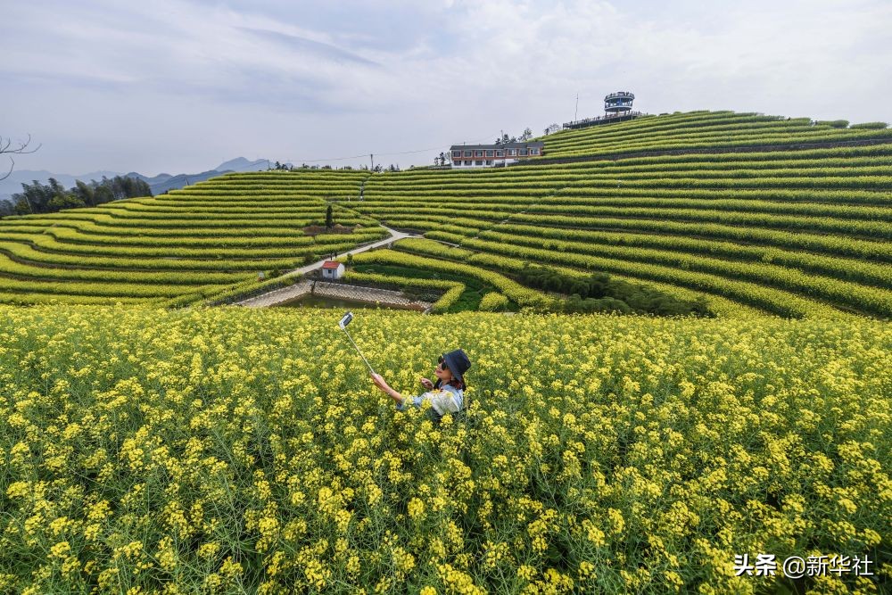 1598336984137682.jpg 1598336984137682.jpg