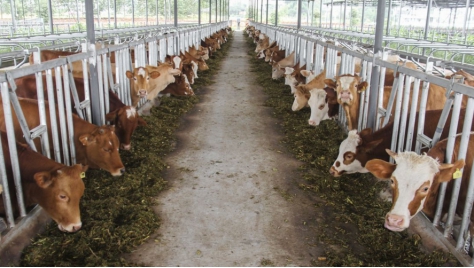 養殖場有必要安裝一體化污水處理設備嗎